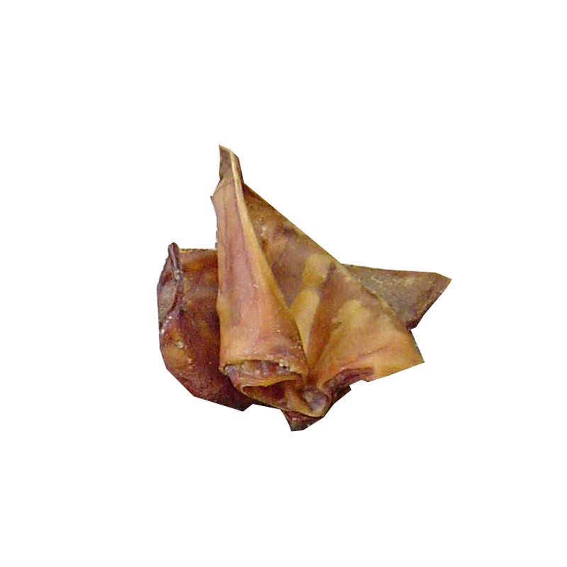 Varkensoor 5 st.