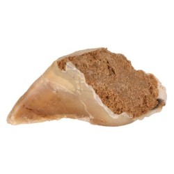 Kalfshoefje met paté